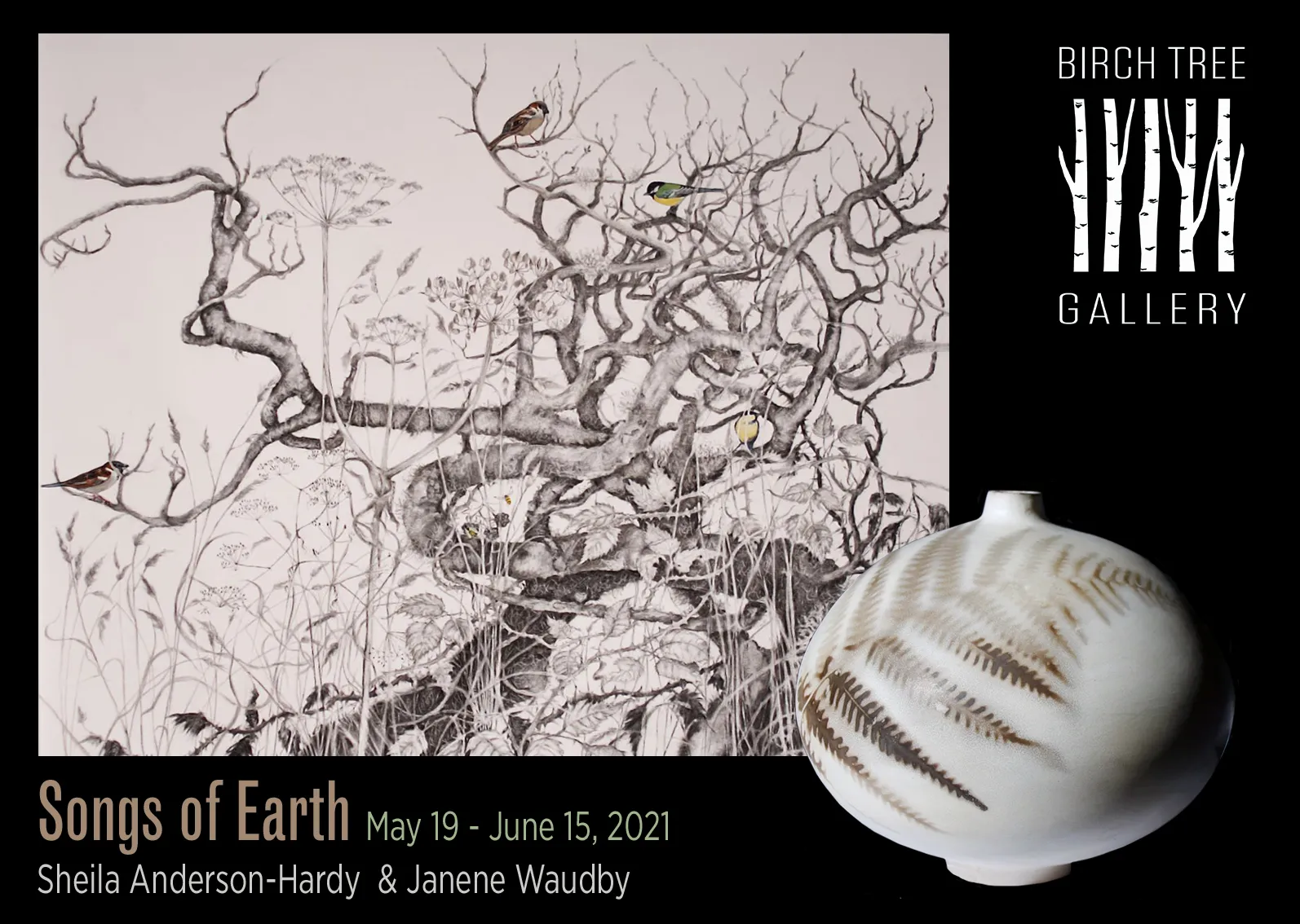 Birch Tree Gallery - Songs of Earth