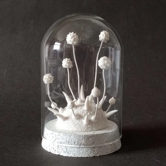 Lorna Fraser. Snow Flower