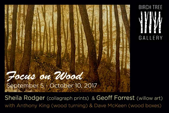 2017-09-05 Focus on Wood - event