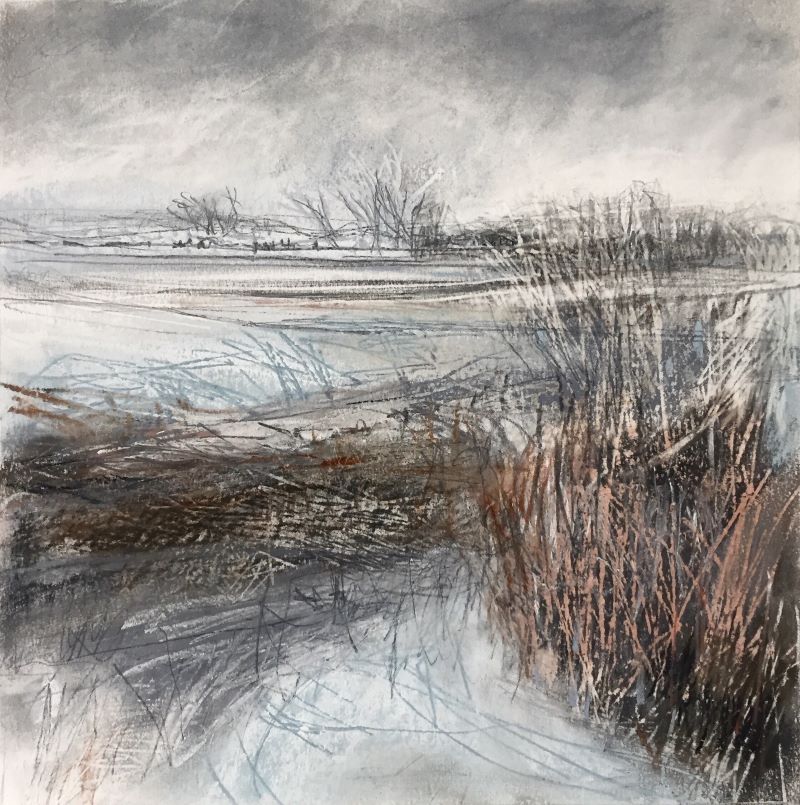 'Tangle', Janine Baldwin, pastel, charcoal and graphite, 23 x 23cm